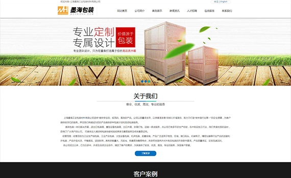 网络建站网站案例：上海墨海工业包装材料